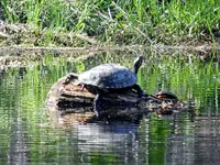 K1600_045.webp K1600_045.webp