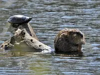 K1600_123.webp