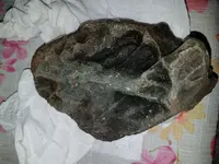 20171203_165450.webp