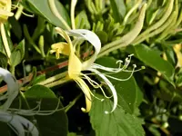 DSCN1655.webp
