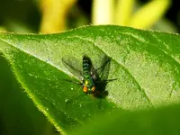 DSCN1657.webp