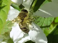 DSCN1663.webp