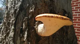 0405181227.webp 0405181227.webp