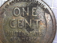 1912 wheat obv.webp