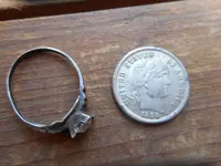 Finds0405188r.webp