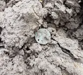 20180427_144136.webp