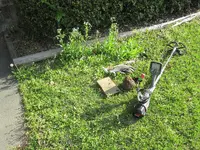 IMG_0424.webp