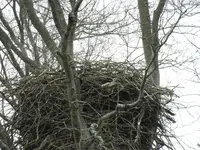K1600_026.webp