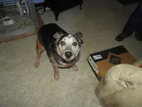 DSCN0586.webp