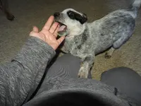 DSCN0609.webp