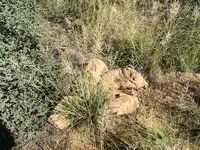 Fallen Cairn.webp