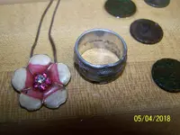 102_8478[1].webp