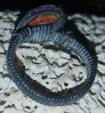 20180322_214158.webp