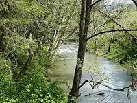creek1.webp creek1.webp