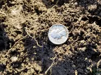 20180322_175951[1].webp