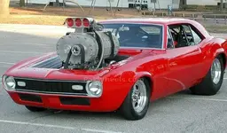 crazymuscle.webp