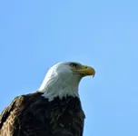 K1600_005.webp