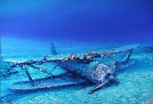 e51cfac8f6df663a459fba86c419b38b--shipwreck-scuba-diving.jpg