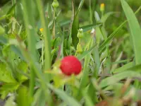 DSCN1602_original.webp