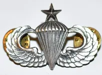 us-army-senior-parachutist-badge-pin-vietnam-era-cb-airborne-wings-411c5c8573afa116da617ed410...webp