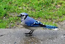 K1600_011_InPixio.webp
