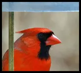 008_InPixio.webp