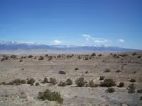 quail_site_007_A.webp