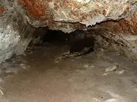 12345.webp