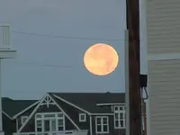 DSCF0351.webp