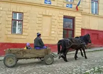 RomaniaViscriManKidBuggy400x290.webp