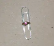 DSCF0771.webp