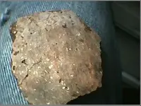 pottery shard.webp