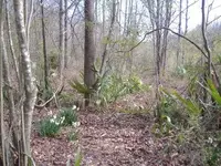 Hunt Prizes 015.webp