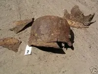 1318297609_56f52608f4.webp