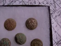buttons.webp