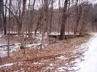 100_9667.webp