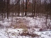 100_9668.webp