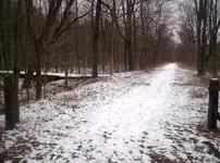 100_9671.webp
