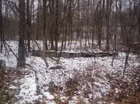 100_9672.webp