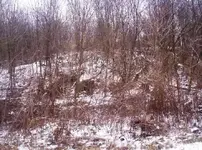 100_9673.webp
