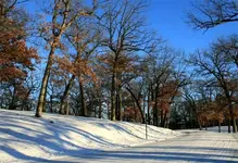 HSPICTURES 062 (Changed)-Changed.webp