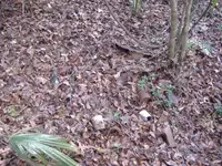 Hunt Prizes 033.webp