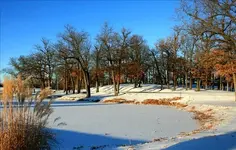 HSPICTURES 073 (Changed)-Changed.webp