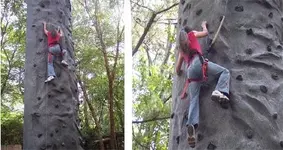 Climbing.webp