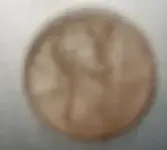wheatie.webp