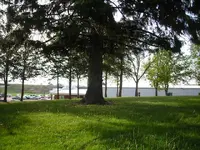 Chicago 100.webp