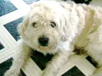 casper.webp