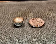 button and snap 2.webp