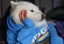 bored.gif bored.gif