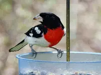 K1600_169.webp
